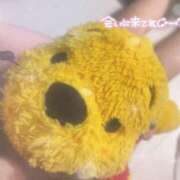 ヒメ日記 2025/04/12 21:35 投稿 ほの Delyz（デリーズ）