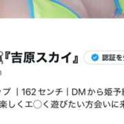 ヒメ日記 2025/04/02 08:15 投稿 あいる SKY(スカイ)