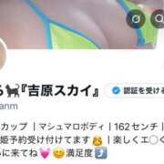 ヒメ日記 2025/04/28 22:12 投稿 あいる SKY(スカイ)