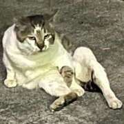 ヒメ日記 2025/05/24 18:20 投稿 るの はちみつ