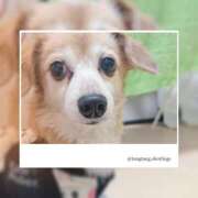 ヒメ日記 2025/02/10 09:24 投稿 左 熟女の風俗最終章 横浜本店