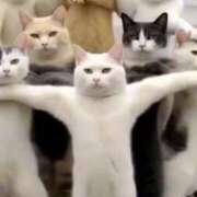 ヒメ日記 2025/02/15 07:58 投稿 左 熟女の風俗最終章 横浜本店