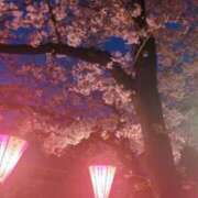 ヒメ日記 2025/04/03 20:34 投稿 左 熟女の風俗最終章 横浜本店