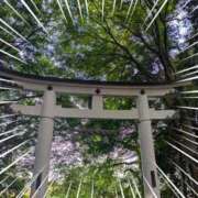 ヒメ日記 2025/05/16 13:24 投稿 左 熟女の風俗最終章 横浜本店