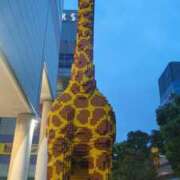 ヒメ日記 2025/06/14 19:04 投稿 左 熟女の風俗最終章 横浜本店