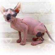 ヒメ日記 2025/08/22 14:34 投稿 左 熟女の風俗最終章 横浜本店