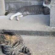 ヒメ日記 2025/08/31 15:54 投稿 左 熟女の風俗最終章 横浜本店