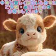 ヒメ日記 2026/01/01 01:44 投稿 左 熟女の風俗最終章 横浜本店