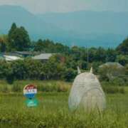 ヒメ日記 2026/01/04 10:13 投稿 左 熟女の風俗最終章 横浜本店