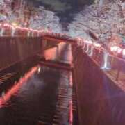 左 お花見🌸 熟女の風俗最終章 横浜本店