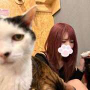 ヒメ日記 2025/03/25 20:16 投稿 爆カワふわぱい『ひめる』 ESSENCE