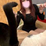 ヒメ日記 2025/03/28 07:57 投稿 爆カワふわぱい『ひめる』 ESSENCE