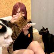 ヒメ日記 2025/03/29 07:54 投稿 爆カワふわぱい『ひめる』 ESSENCE