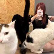 ヒメ日記 2025/04/11 14:15 投稿 爆カワふわぱい『ひめる』 ESSENCE