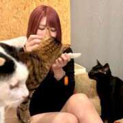 ヒメ日記 2025/05/26 15:01 投稿 爆カワふわぱい『ひめる』 ESSENCE