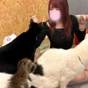 ヒメ日記 2025/06/06 06:59 投稿 爆カワふわぱい『ひめる』 ESSENCE