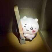 ヒメ日記 2026/01/11 20:23 投稿 爆カワふわぱい『ひめる』 ESSENCE