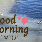 ヒメ日記 2025/01/31 07:38 投稿 すず☆丁寧でエロい 松戸人妻城