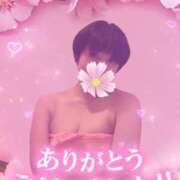 ヒメ日記 2025/02/10 01:49 投稿 すず☆丁寧でエロい 松戸人妻城