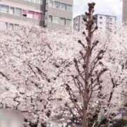 ヒメ日記 2025/04/05 13:15 投稿 すず☆丁寧でエロい 松戸人妻城