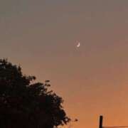 ヒメ日記 2025/08/03 10:37 投稿 ももえ しろうとCollection