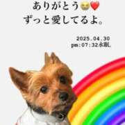 ヒメ日記 2025/05/01 01:52 投稿 ひいろ奥様 デザイア日本橋