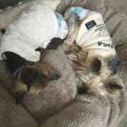 ヒメ日記 2025/05/07 00:59 投稿 ひいろ奥様 デザイア日本橋