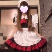 ヒメ日記 2025/03/31 16:10 投稿 める ITS