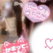 ヒメ日記 2025/12/18 06:36 投稿 める ITS