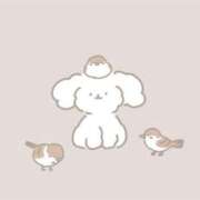 ヒメ日記 2025/05/01 23:55 投稿 いおり エスッテ×エスッテ