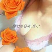 ヒメ日記 2025/11/07 13:15 投稿 ちひろ ご近所物語