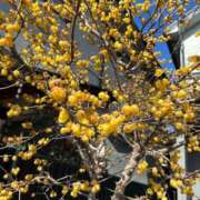 ヒメ日記 2026/02/07 08:36 投稿 ちひろ ご近所物語