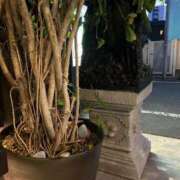 ちひろ カルティニのお客様⭐︎ ご近所物語