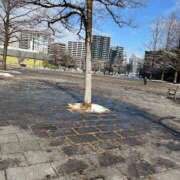 ちひろ 福寿のお客様⭐︎ ご近所物語