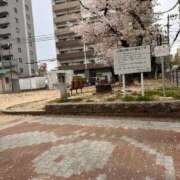 ちひろ 4/5〜4/9まで ご近所物語