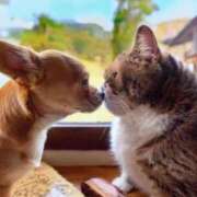 ヒメ日記 2025/02/11 11:56 投稿 さえ 熟女の風俗アウトレット大垣安八羽島店