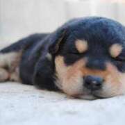 ヒメ日記 2025/02/24 20:56 投稿 さえ 熟女の風俗アウトレット大垣安八羽島店