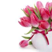 ヒメ日記 2025/03/08 12:56 投稿 さえ 熟女の風俗アウトレット大垣安八羽島店