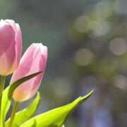 ヒメ日記 2025/03/22 10:07 投稿 さえ 熟女の風俗アウトレット大垣安八羽島店