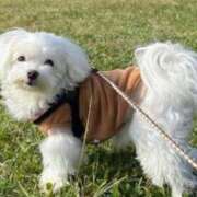 ヒメ日記 2025/03/22 15:06 投稿 さえ 熟女の風俗アウトレット大垣安八羽島店