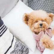 ヒメ日記 2025/03/25 23:36 投稿 さえ 熟女の風俗アウトレット大垣安八羽島店