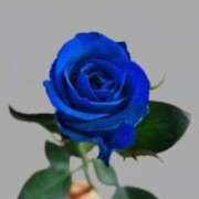 ヒメ日記 2025/03/26 09:46 投稿 さえ 熟女の風俗アウトレット大垣安八羽島店