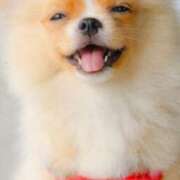 ヒメ日記 2025/03/30 10:01 投稿 さえ 熟女の風俗アウトレット大垣安八羽島店