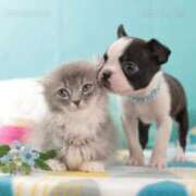 ヒメ日記 2025/03/30 16:26 投稿 さえ 熟女の風俗アウトレット大垣安八羽島店