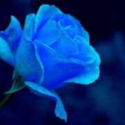 ヒメ日記 2025/04/09 13:26 投稿 さえ 熟女の風俗アウトレット大垣安八羽島店