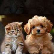 ヒメ日記 2025/04/10 16:14 投稿 さえ 熟女の風俗アウトレット大垣安八羽島店