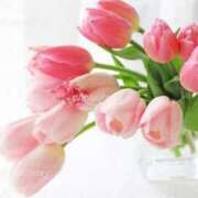 ヒメ日記 2025/04/11 16:06 投稿 さえ 熟女の風俗アウトレット大垣安八羽島店