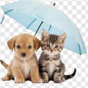 ヒメ日記 2025/04/13 14:46 投稿 さえ 熟女の風俗アウトレット大垣安八羽島店