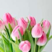 ヒメ日記 2025/04/13 16:36 投稿 さえ 熟女の風俗アウトレット大垣安八羽島店