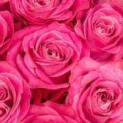 ヒメ日記 2025/04/15 15:36 投稿 さえ 熟女の風俗アウトレット大垣安八羽島店